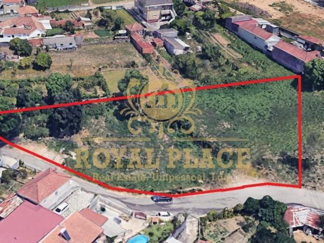 Aveiro Santa Maria da Feira 4535 99794710