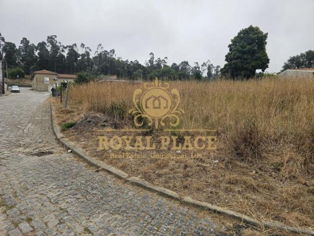 Aveiro Santa Maria da Feira 4535 104362323