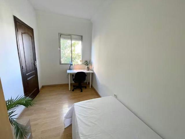 Avenida Alvar Nez, Sevilla, Andalusia 41010