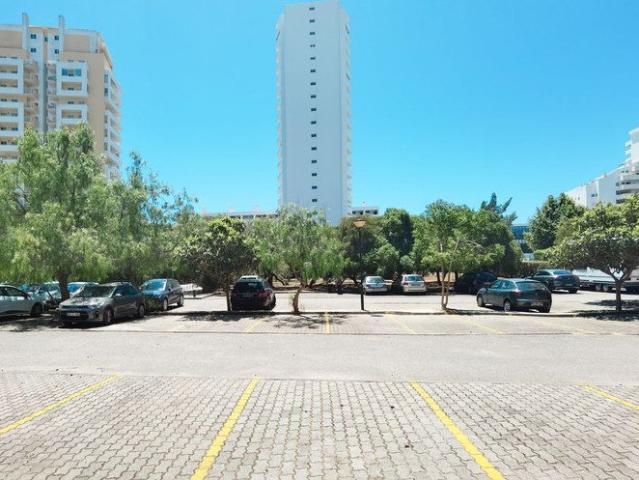 Avenida Tomás Cabreira