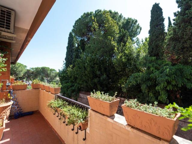 Aventino, central and surrounded by greenery Cribmed