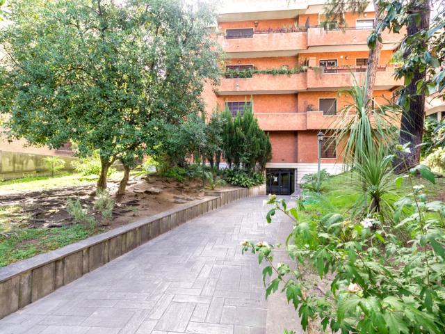 Aventino in the Trees Cribmed