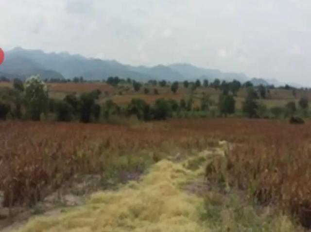 AXOCHIAPAN TERRENO VENTA AXOCHIAPAN MORELOS
