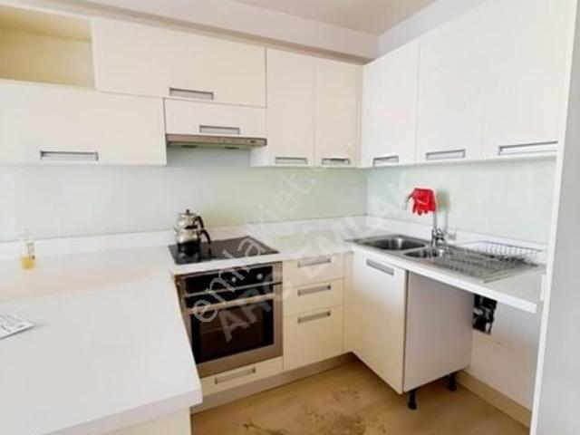Ayışığı Vadi Evleri Kiralık 1+1 Fırsat Daire