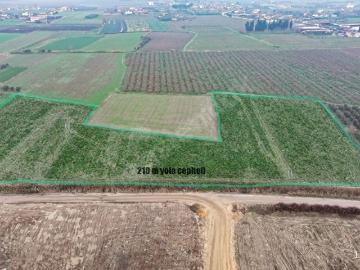 Torbalı, İzmir ili, Ege Bölgesi - Open space