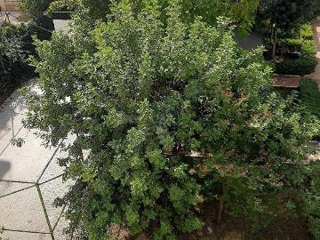 Antalya, Antalya ili, Akdeniz Bölgesi