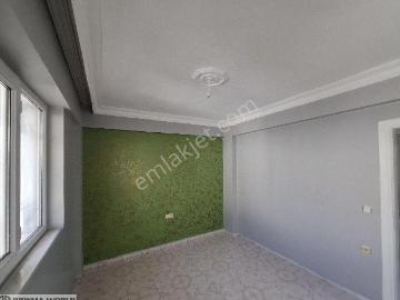 Didim, Aydın ili, Ege Bölgesi - Klima