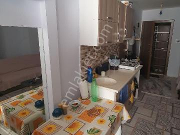 Efeler, Aydın ili, Ege Bölgesi - Klima