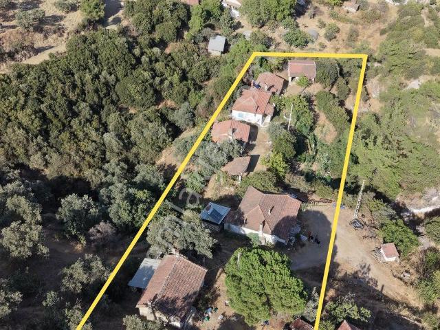 Kaporası Alınmıştır Aydın Germencik Çamköy’de 3.900m2 Bahçe & 4 Adet Köy Evi