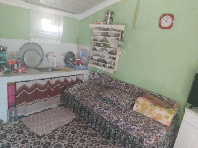 Aydın Germencik Reisköyde Müstakil Satılık Köy Evi