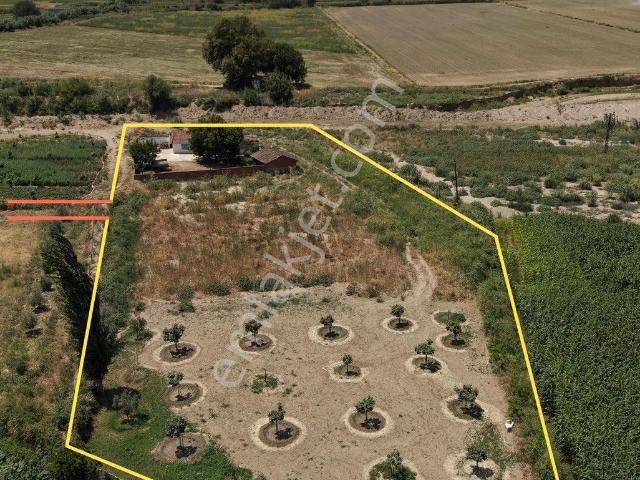 Aydın Germencik Tekin’de Satılık 3.200m2 Bahçe & Ev
