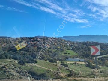 Aydın Çine Elderesi 297 M2 Arsa İçinde Müstakil Ev