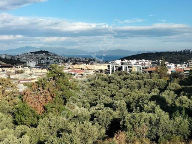 Aydın Kuşadası Değirmendere Mahallesi'nde Satılık 3+1 Daire