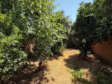 Aydın / Nazilli – Şirinevler Mahallesi’nde Satılık Müstakil Ev