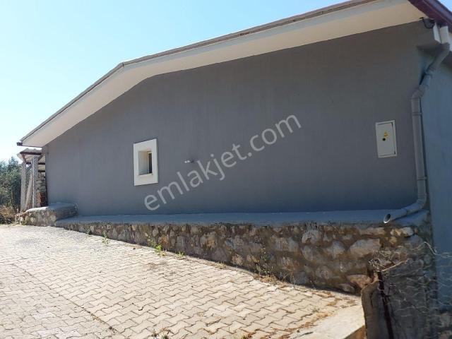 Aydın Söke Kayas Köyünde 350 M2 Toplam Alana Sahip Satılık Köy Evı