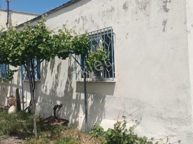 Aydıncık Emlaktan Satılık Çift Daire Ve Sera