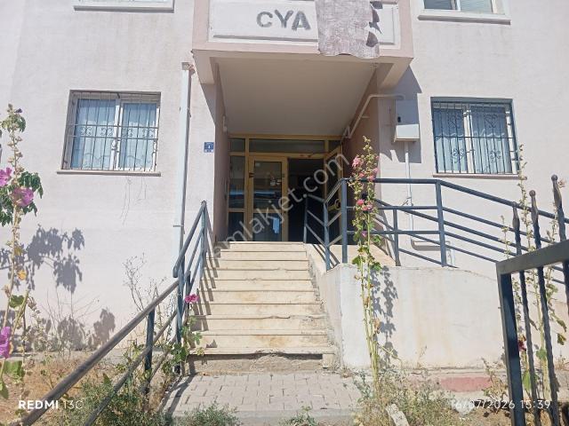 Çaydaçıra Mah 1+1 Sosyal Konut