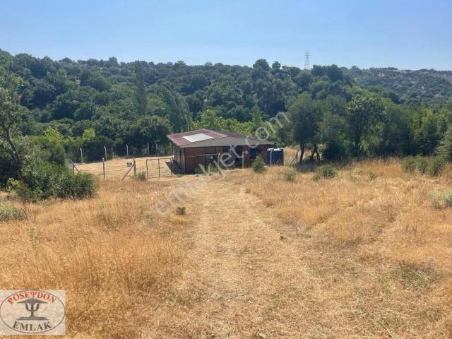 Ayvacık Sapanca 3+1 Müstakil Sıfır Dere Cepheli