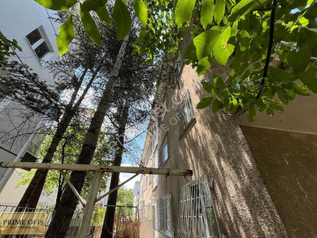 Ayvalıda Tam Merkezde 2+1 Kiralık Daire