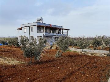 Kilis, Kilis ili, Güneydoğu Anadolu Bölgesi