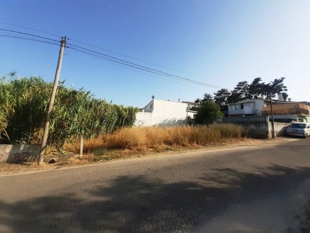 Azeitão, Lote urbano 325m2