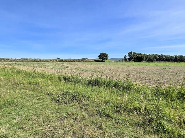 Azienda agricola con vigneto ed oliveto in vendita a Scarlin. m² Scarlino Scalo