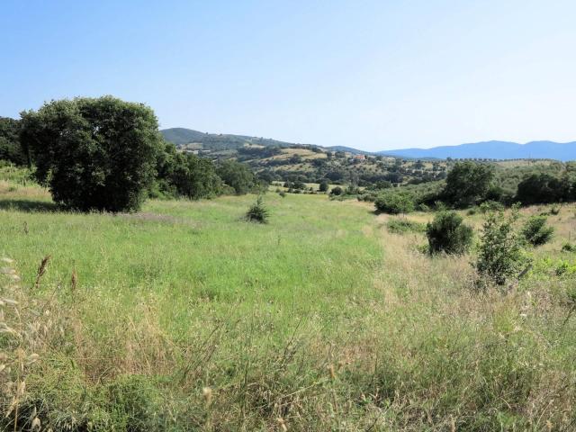 Azienda agricola in posizione collinare con vista mare in ve. 700m² Magliano in Toscana