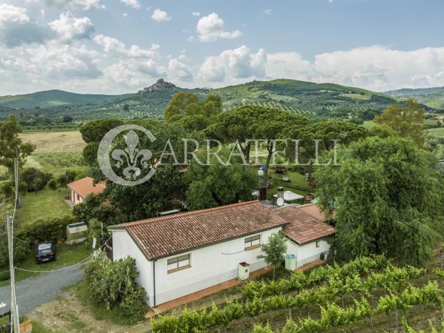 Azienda agricola vitivinicola perfettamente avviata con 740. 740m² Roccastrada