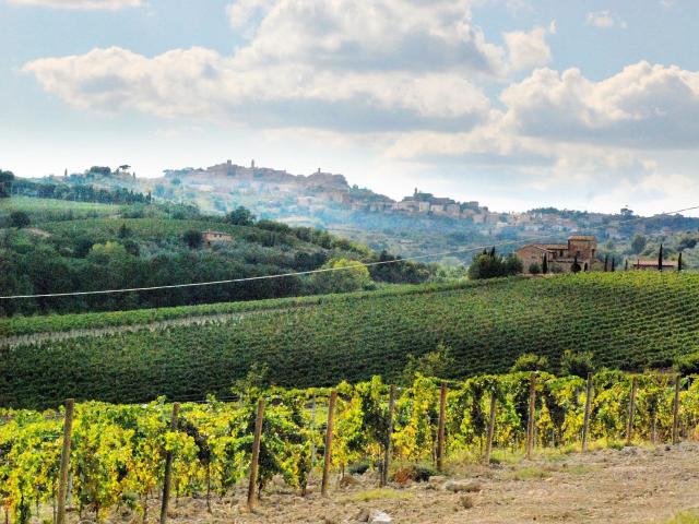 Azienda vinicola di alto livello in vendita a Montepulciano 1200m² Montepulciano