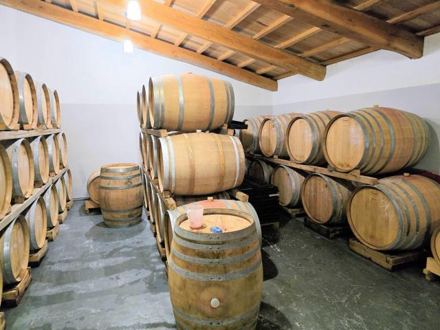 Azienda vitivinicola con produzione di vini di alta qualita'. 844m² Scansano