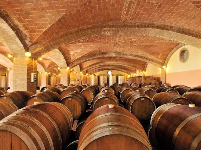 Azienda vitivinicola Morellino di Scansano con agriturismo i. 1940m² Grosseto