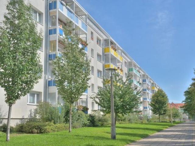Azubis/Studis gesucht