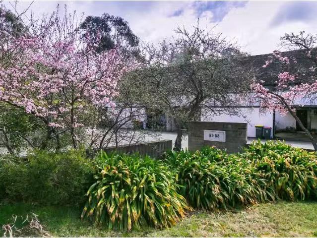B3/1 Davies Place, Torrens Townhouse for rent Listed by Danie.
