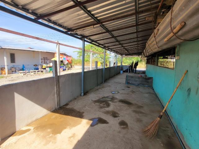 บ้านเช่า ราคาถูก 3000 อ.เมืองนครสวรรค์ สะพานปิงวารีศรีสวรรค์