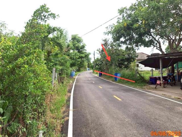 บ้านเดี่ยว 417.2 ตร.วา โนนแดง นครราชสีมา 2.6M