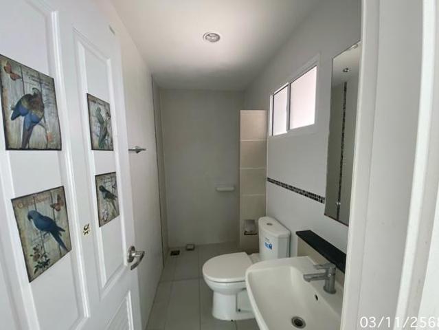 บ้านเดี่ยว 41 ตร.วา เดอะแพลนท์ อยุธยา วังน้อย พระนครศรีอยุธยา 3M