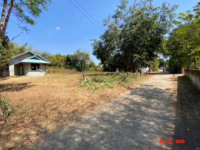 บ้านเดี่ยว 442 ตร.วา ยางตลาด กาฬสินธุ์ 1.3M