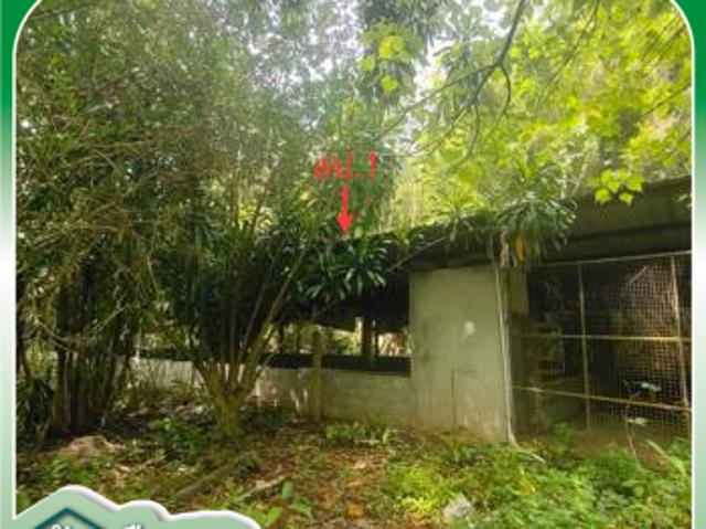บ้านเดี่ยว 4455.3 ตร.วา ตะกั่วทุ่ง พังงา 3.8M
