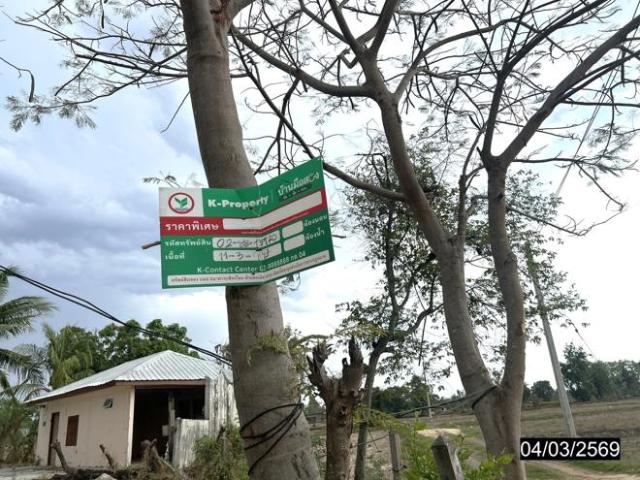 บ้านเดี่ยว 4709 ตร.วา เมืองศรีสะเกษ ศรีสะเกษ 2.3M