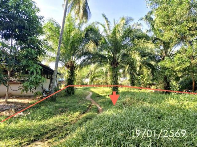 บ้านเดี่ยว 480 ตร.วา หาดสำราญ ตรัง 1.1M