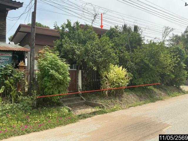 บ้านเดี่ยว 48 ตร.วา พิมาย นครราชสีมา 1.1M
