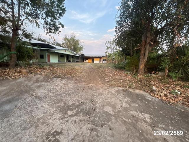 บ้านเดี่ยว 493 ตร.วา ปักธงชัย นครราชสีมา 3.1M