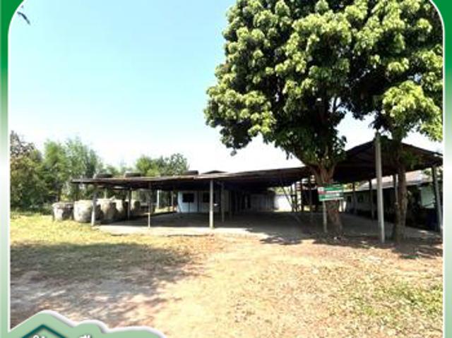 บ้านเดี่ยว 494 ตร.วา โนนสูง นครราชสีมา 1.2M