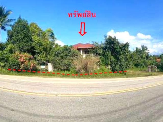 บ้านเดี่ยว 538 ตร.วา จะแนะ นราธิวาส 8.6M