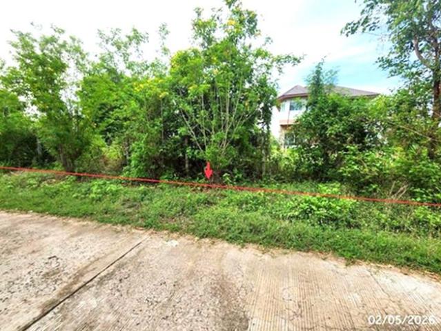 บ้านเดี่ยว 550 ตร.วา จตุรพักตรพิมาน ร้อยเอ็ด 3.8M