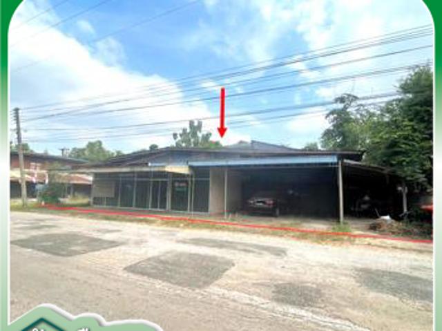 บ้านเดี่ยว 573.6 ตร.วา เรณูนคร นครพนม 1.4M