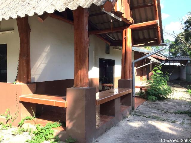 บ้านเดี่ยว 574 ตร.วา แม่จัน เชียงราย 1.3M
