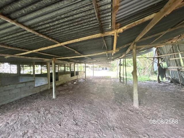 บ้านเดี่ยว 623 ตร.วา ศรีณรงค์ สุรินทร์ 612,000