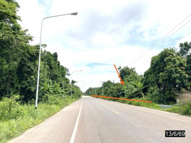 บ้านเดี่ยว 6400 ตร.วา หนองกุงศรี กาฬสินธุ์ 10.2M