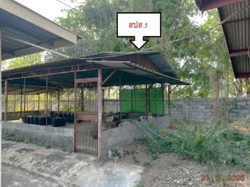 บ้านเดี่ยว 652 ตร.วา เชียงยืน มหาสารคาม 13.5M